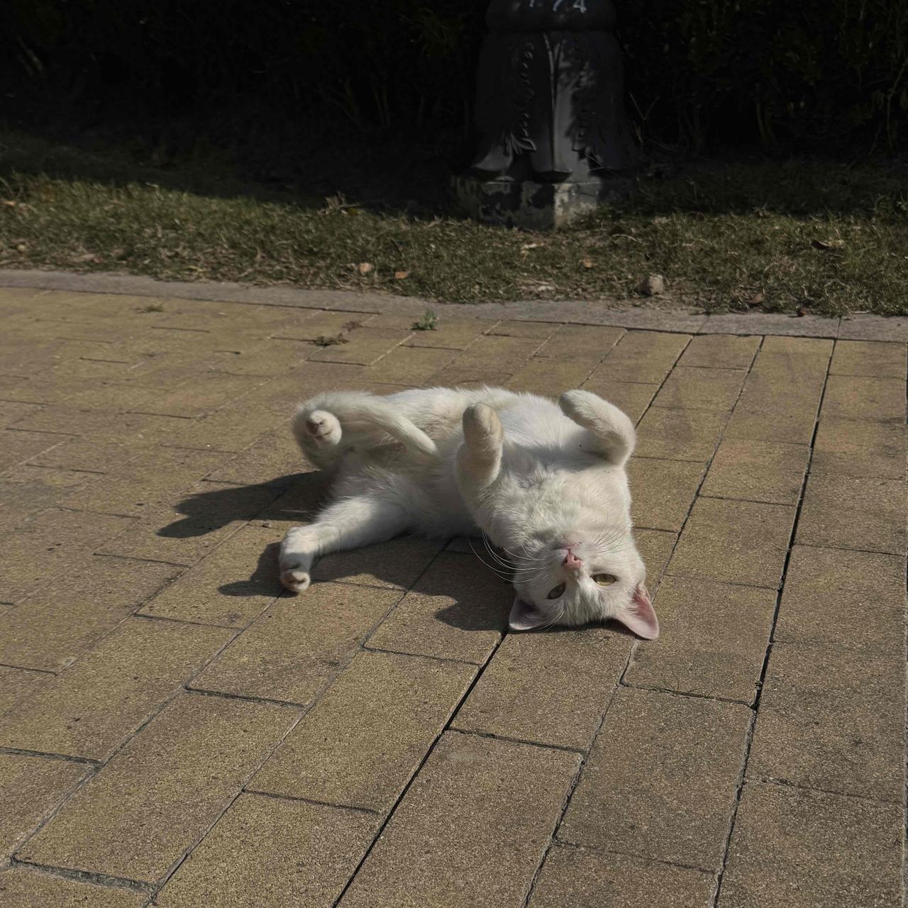 其实哪有什么惊天动地的幸福啊。不过是雨天有人惦记你带没带伞，深夜有人给你留了盏玄