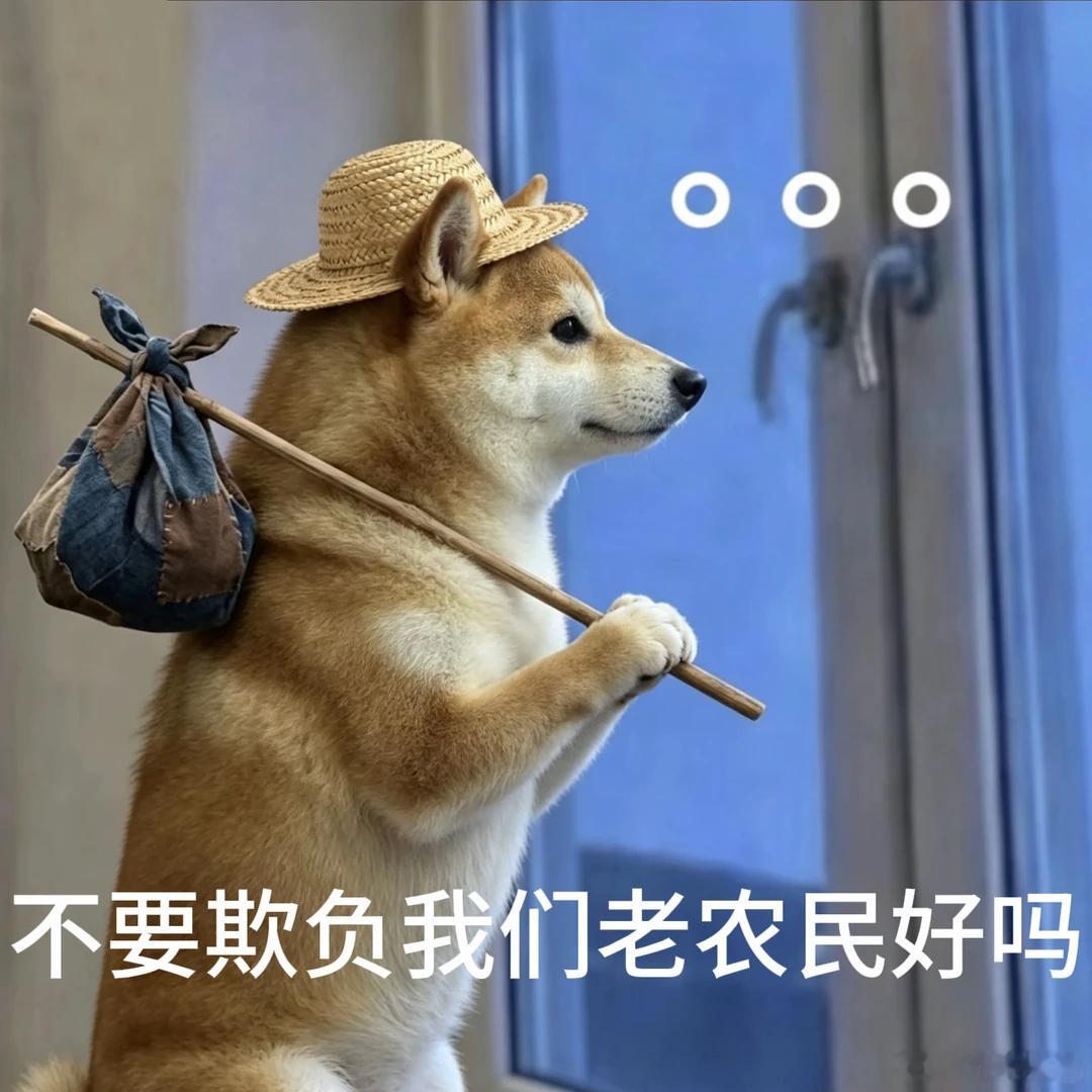 可恶，星露谷怎么这么好玩[苦涩][苦涩][苦涩] ​​​