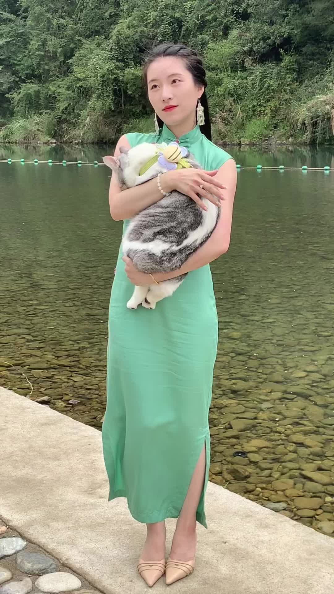 旗袍与猫咪