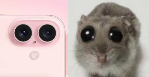 #iPhone16今晚8点预售#  买了iPhone16你就会得到一直非常可爱的