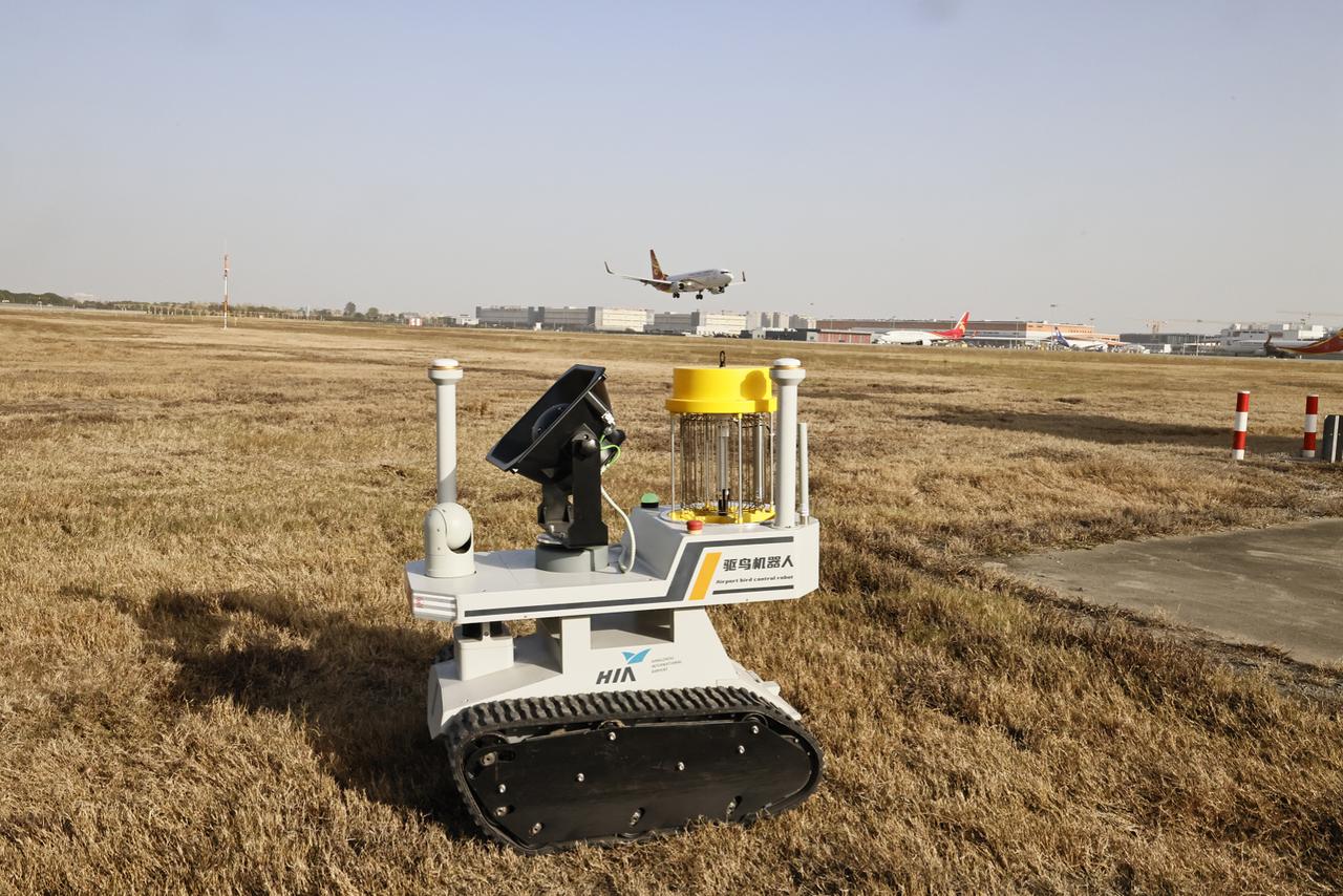 成都造AI驱鸟机器人：2秒反应护丰收，温柔不伤鸟

农田果实遭啄食、机场飞行受威