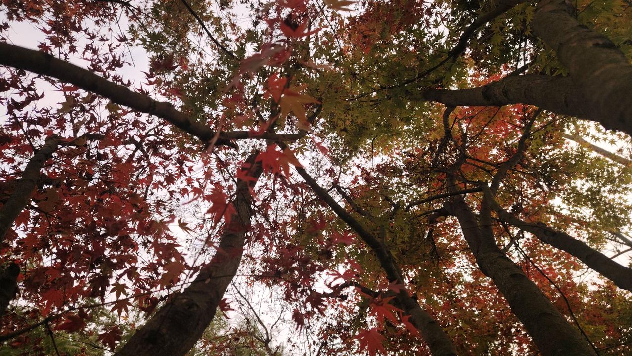 30岁之前，我觉得是因为有了爱才有了婚姻。

爱就是心动的感觉，要他每天把我爱你