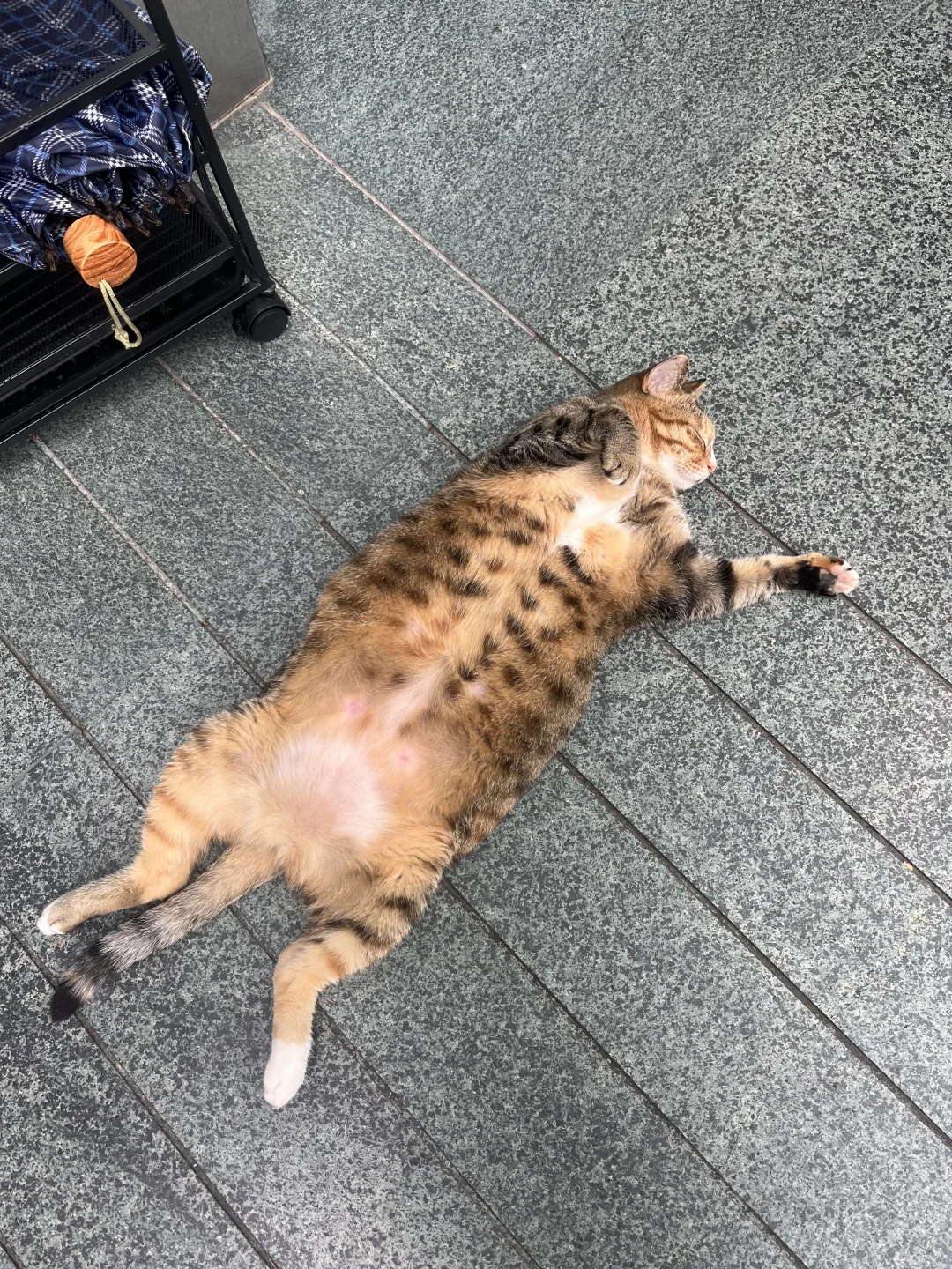 你睡🉐礼貌吗❓