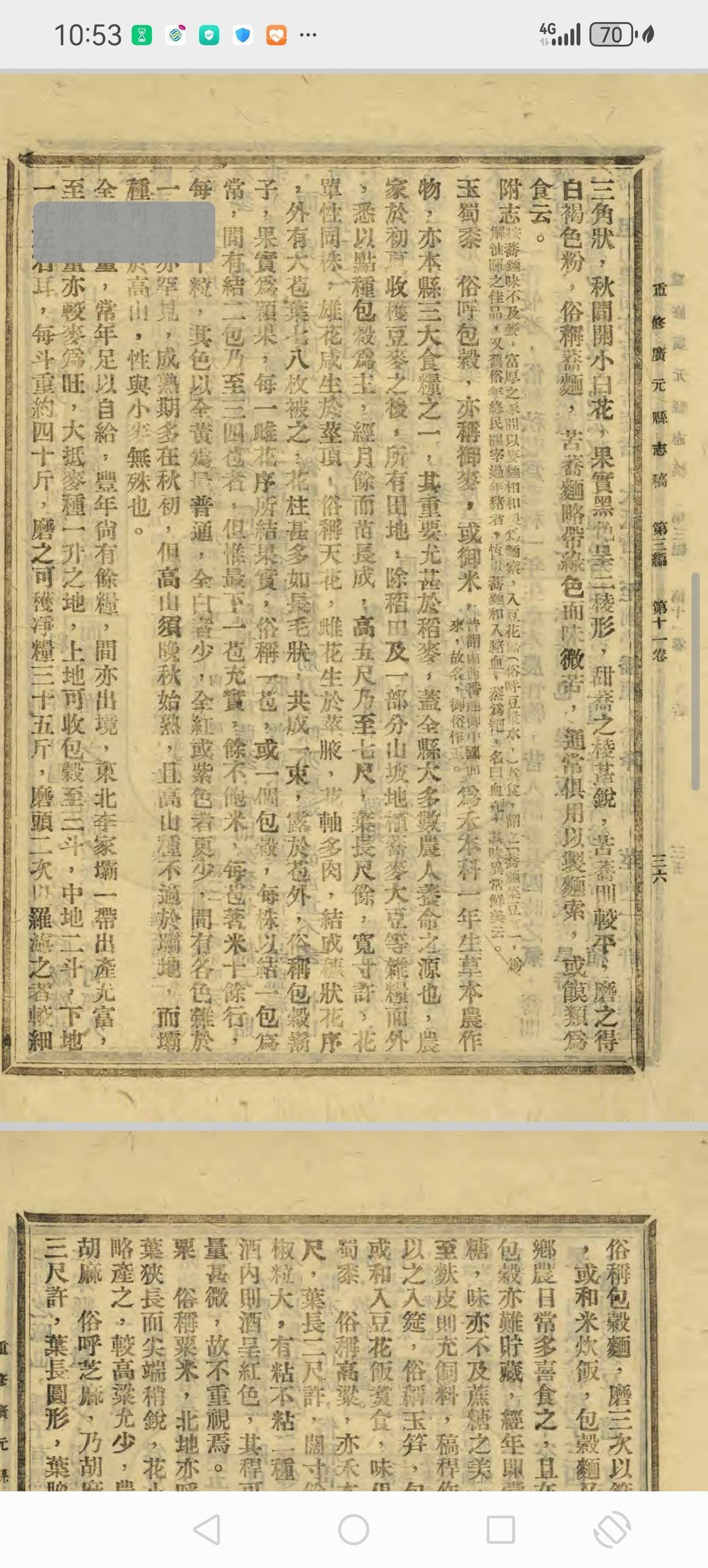 玉米在你们那儿的方言叫什么川北旺苍人把玉米叫苞谷[呲牙][呲牙][呲牙]民国《广