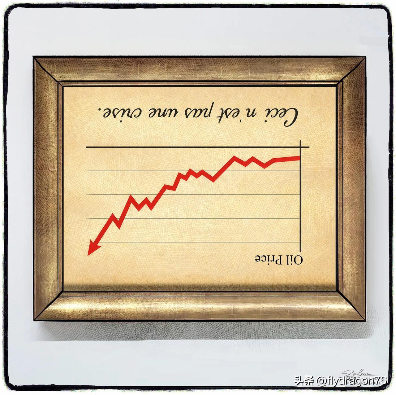 🇳🇱“这不是一场危机。”荷兰漫画家鲁本·奥本海默（Ruben Oppenhe