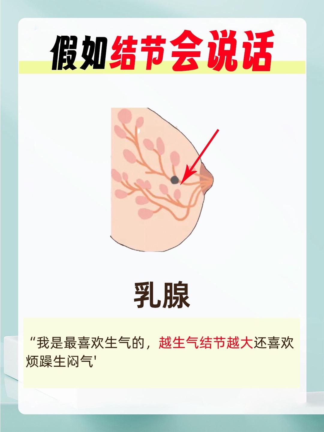 结节喜欢的和不喜欢的，女生必看！