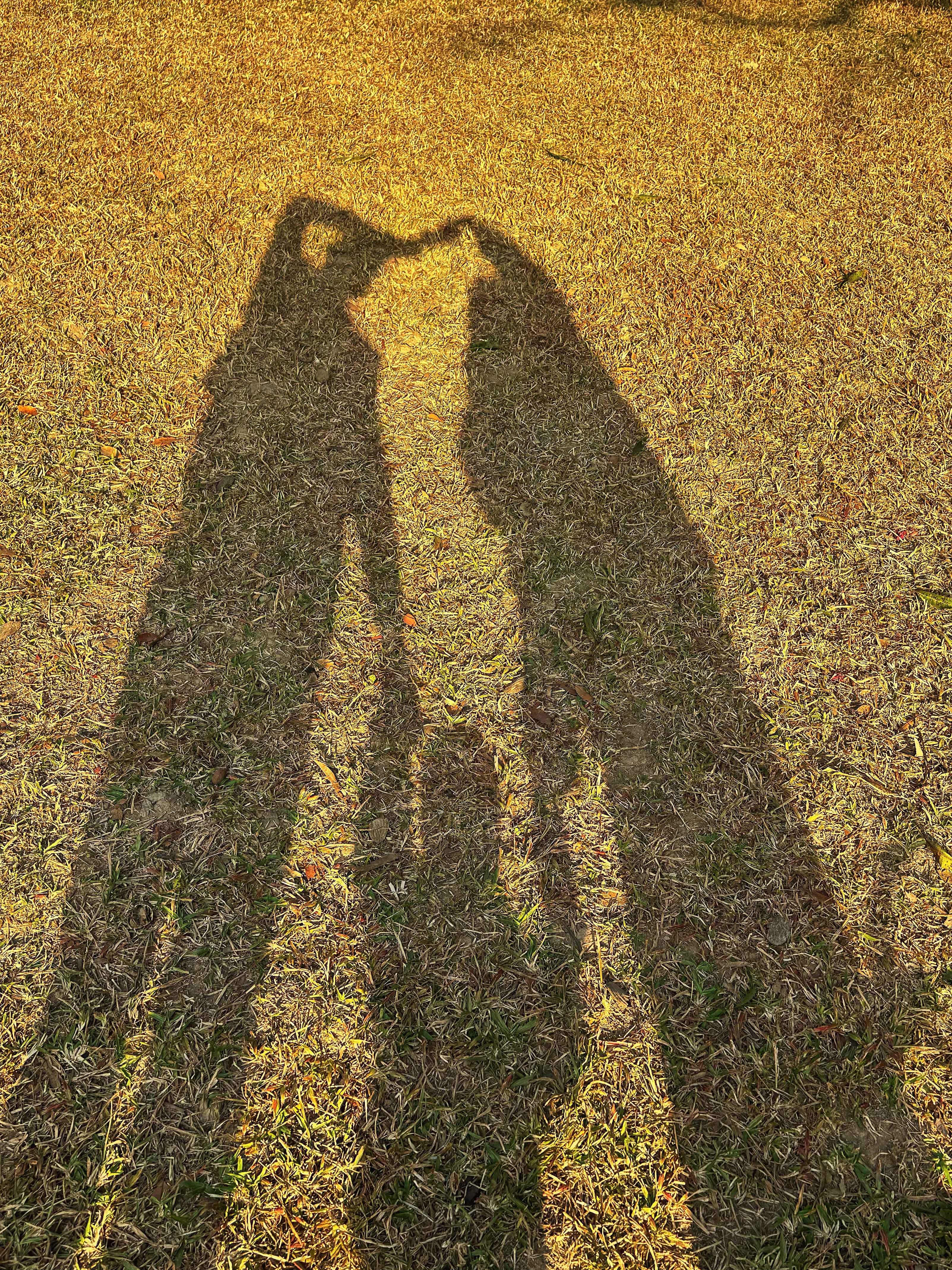 💌 借夕阳的光，让影子替我告白。我的成长纪念 广州·南湖院子