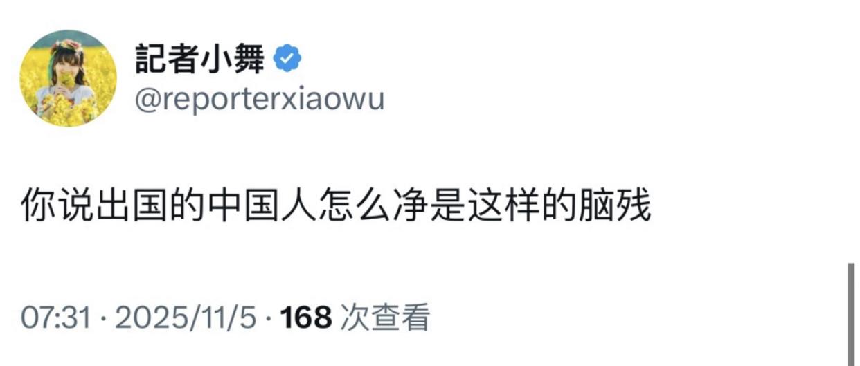 这位润到美国的华人是在骂他自己吗？！