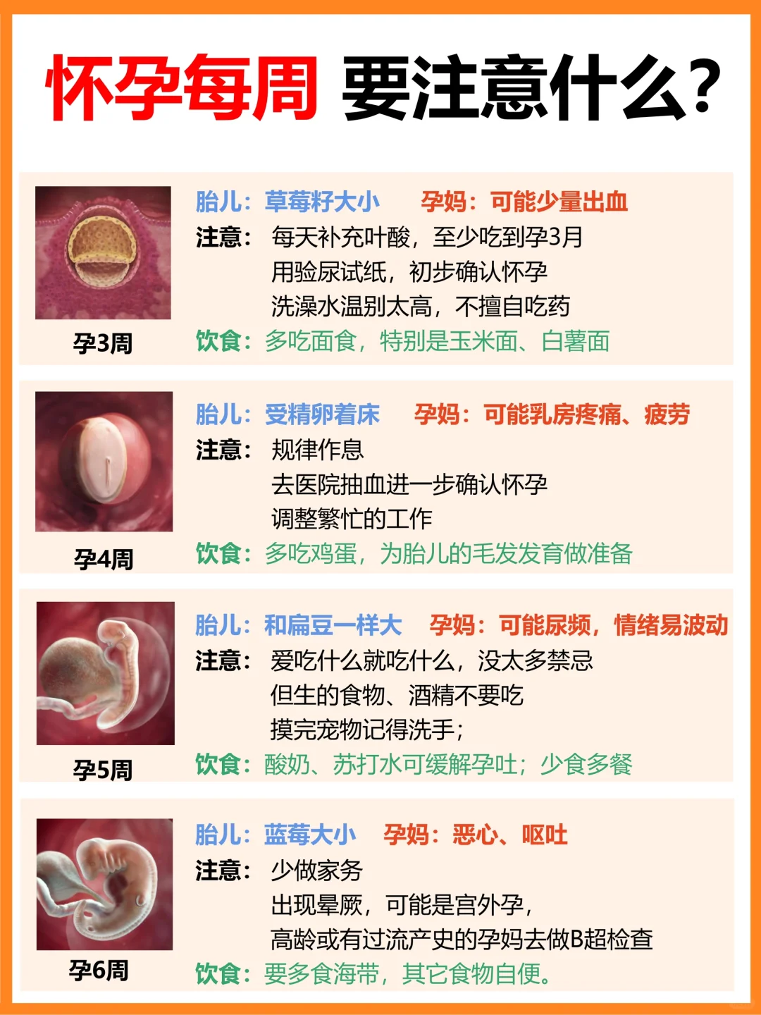 怀孕后，每周做什么⁉附胎儿变化+注意事项⚠️