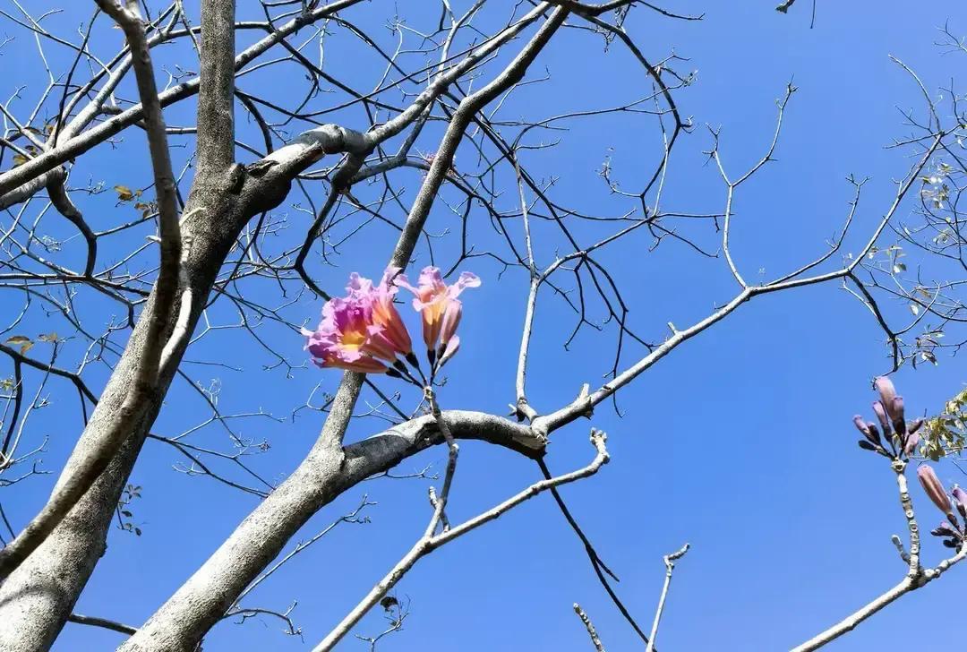 月薪两万，过月薪五千的生活？有人说想都不敢想。

收入翻了几倍，开支就一定跟着翻