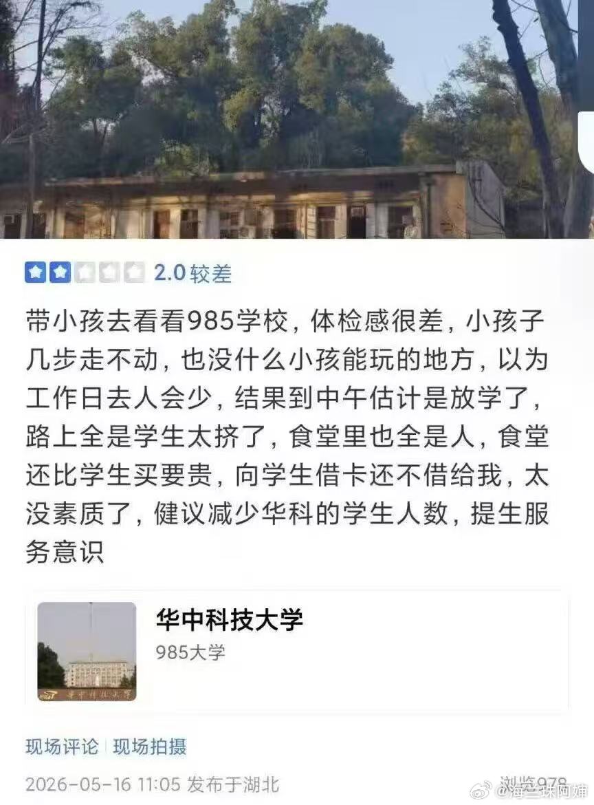 我时常无法理解巨婴的脑回路为何异于常人