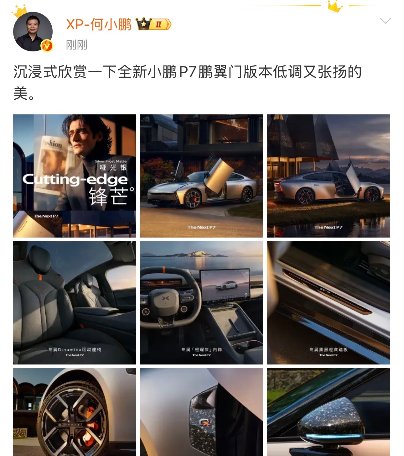 全新小鹏P7推出鹏翼门版本 虽迟但到[doge] 鹏翼门版本这次依旧是主打一个拉