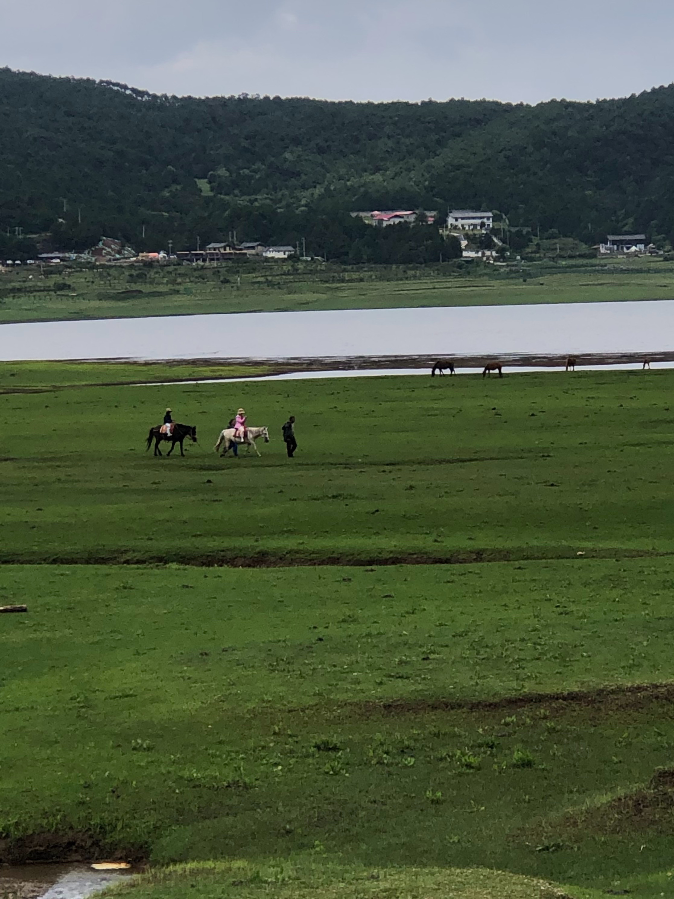 雨季住在玉龙和梅里雪山脚下 就是一个云里雾里的概念 