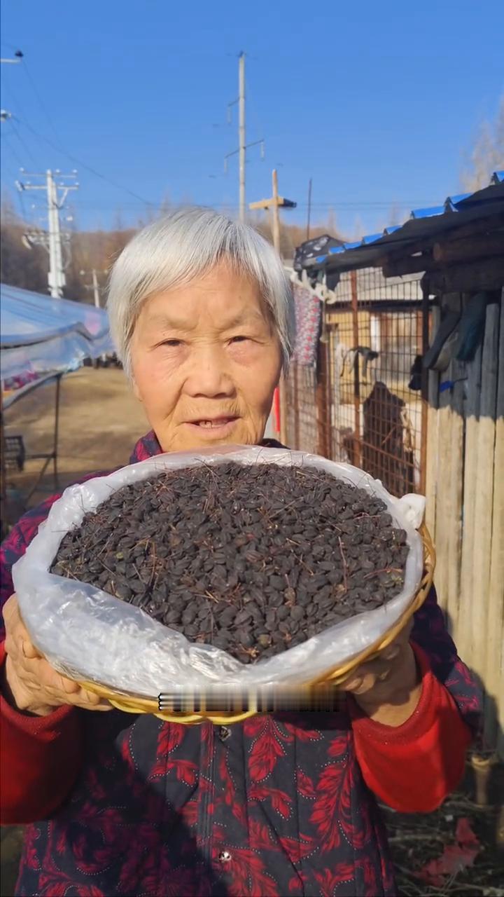 黑龙江原始大森林，纯野生的刺五加籽。
我家是小兴安岭的主脉，原始大森林。这是我们