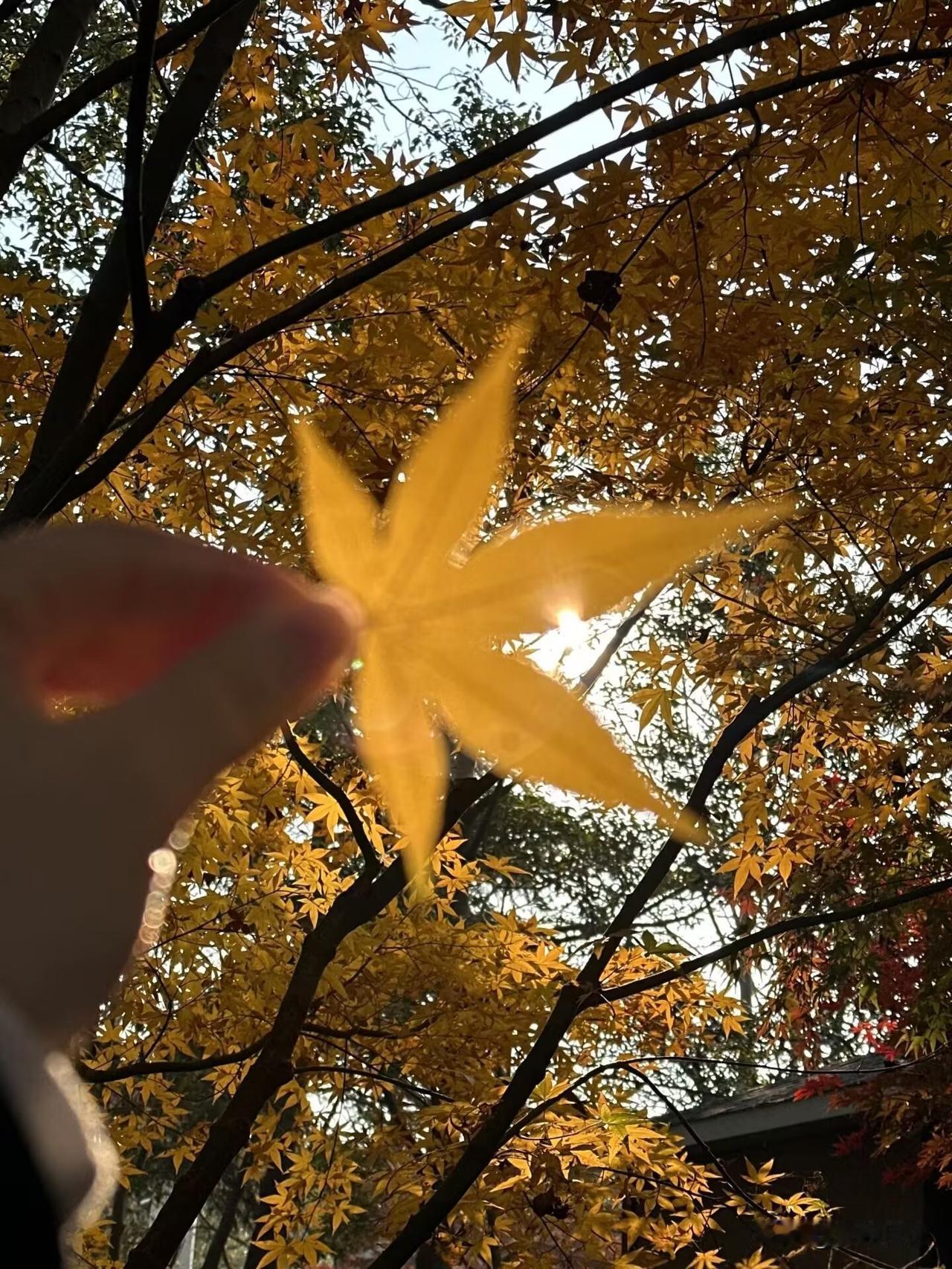 一个转身，夏天就成了故事；
一个回眸，秋色就映入眼帘。

时光总是这样匆匆，还没