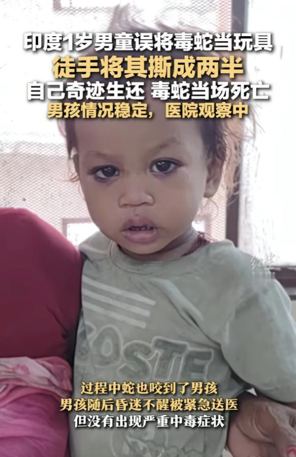 “这难道就是初生牛犊不怕虎？”7月27日报道，印度1岁的男童在自家院里爬着玩，随