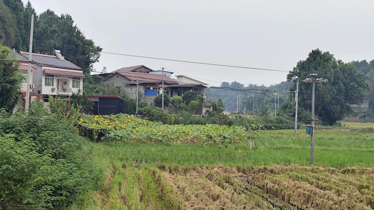 自然风景图片分享秋日里的乡村风景！