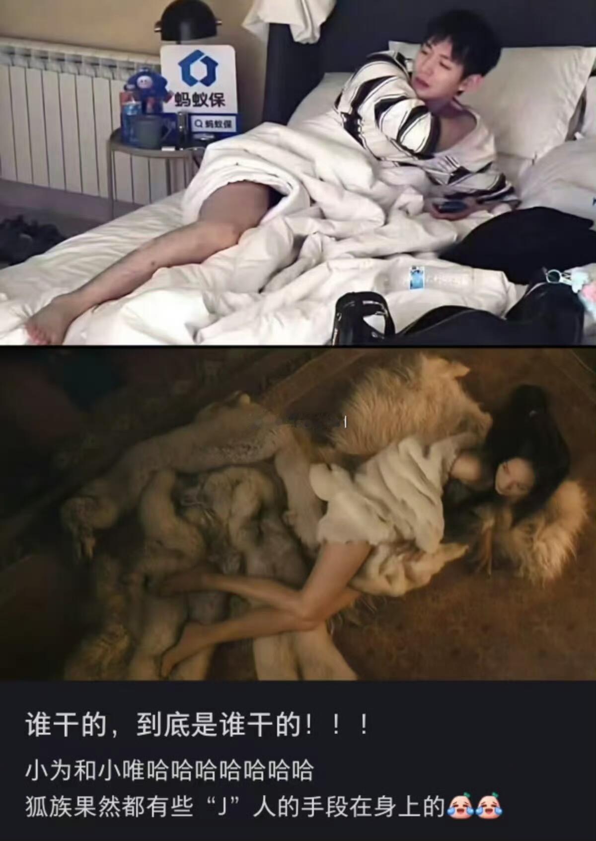 邓为cos周迅狐妖，哈哈哈哈哈哈哈都是小wei都是狐狸 ​​​
