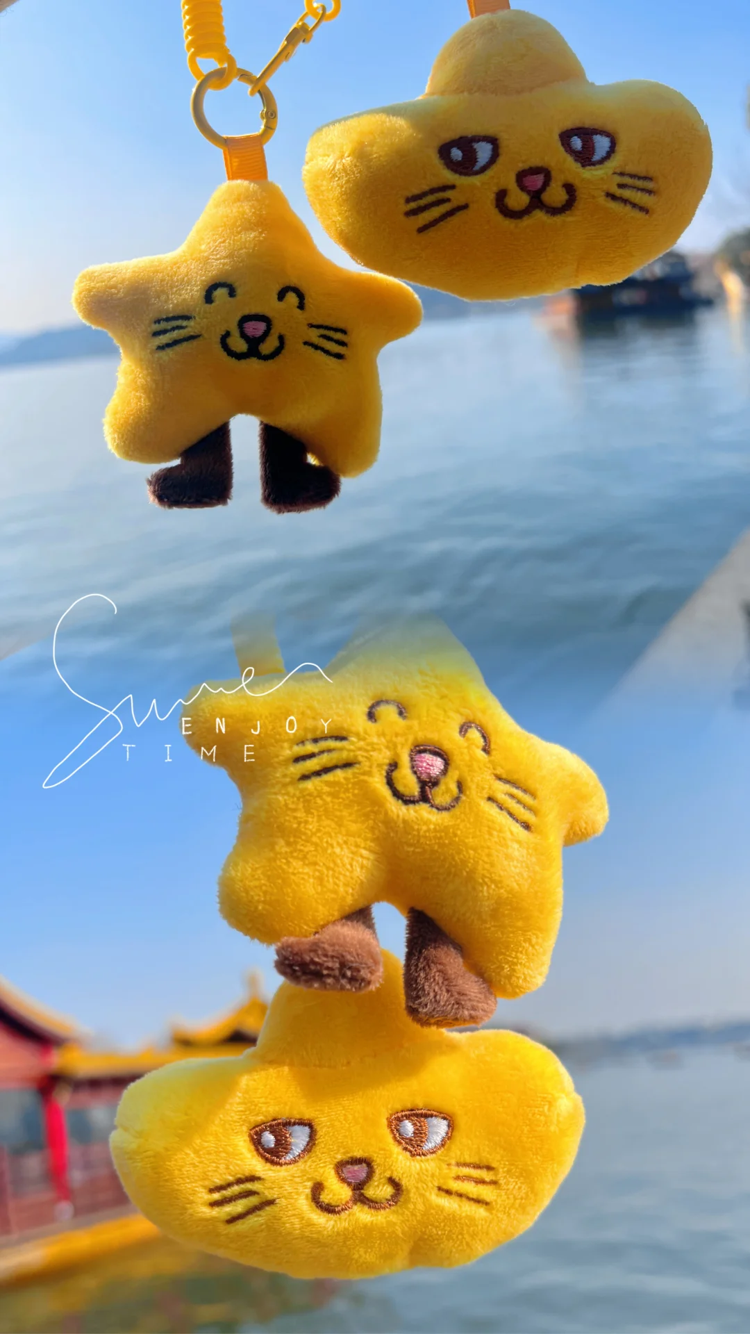 快看，西湖边有御猫在巡逻