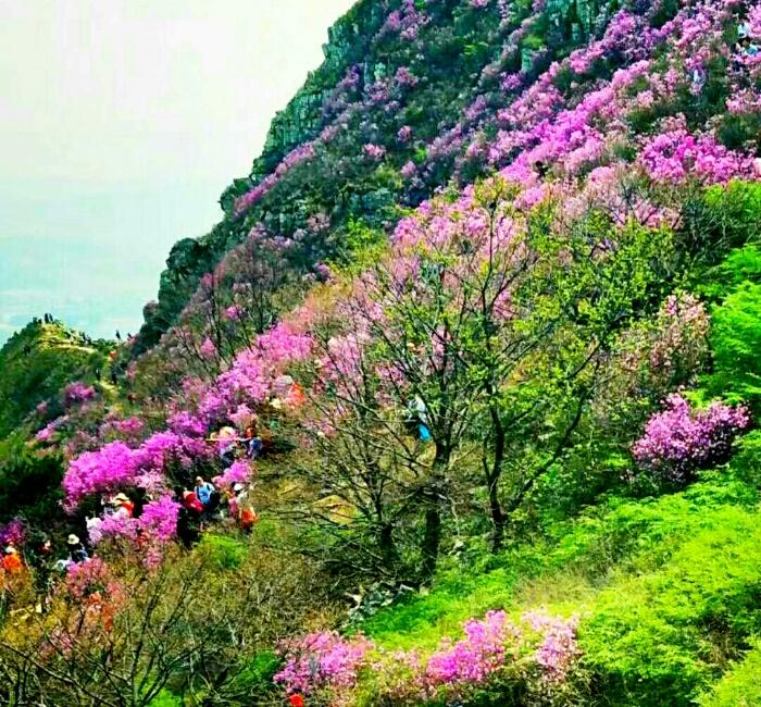 周四盘后突发重磅行业新消息，周五仍需留意市场轮动节奏！
周四盘后行业新消息如下：