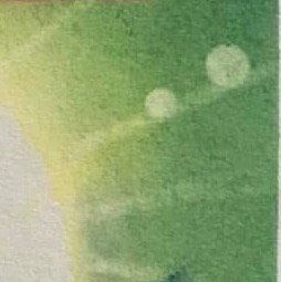 养娃日记24養娃到哪也忘了，開始亂編🤣🤣 