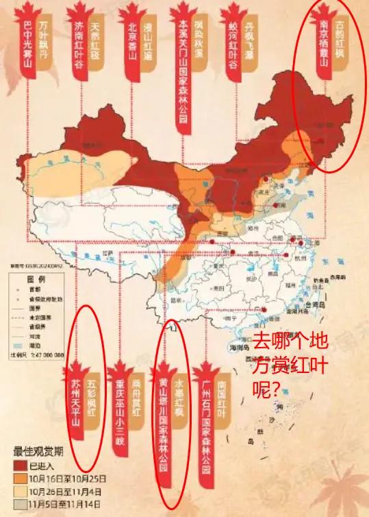 不去吗？塔川红叶，顺便走访一下昔日朋友！

南京栖霞山和苏州天平山红叶最佳观赏期