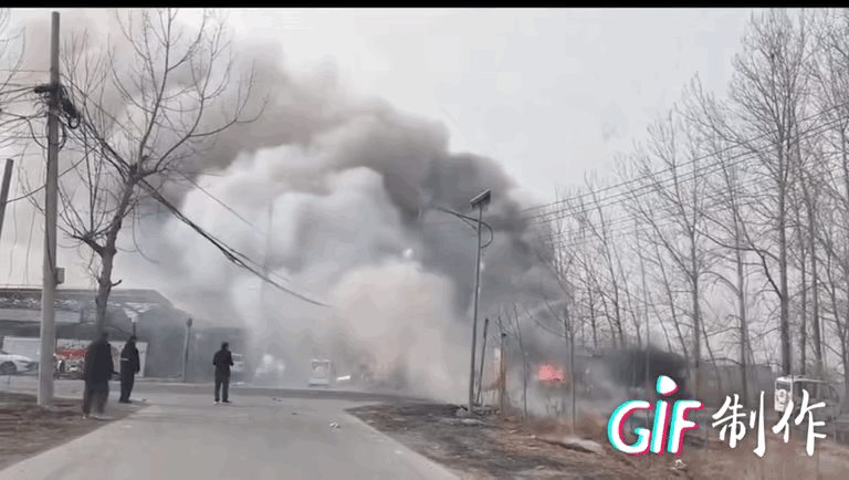 政府禁止燃放烟花爆竹是有道理的！

因为一次不当燃放烟花酿成8条生命逝去的悲剧！