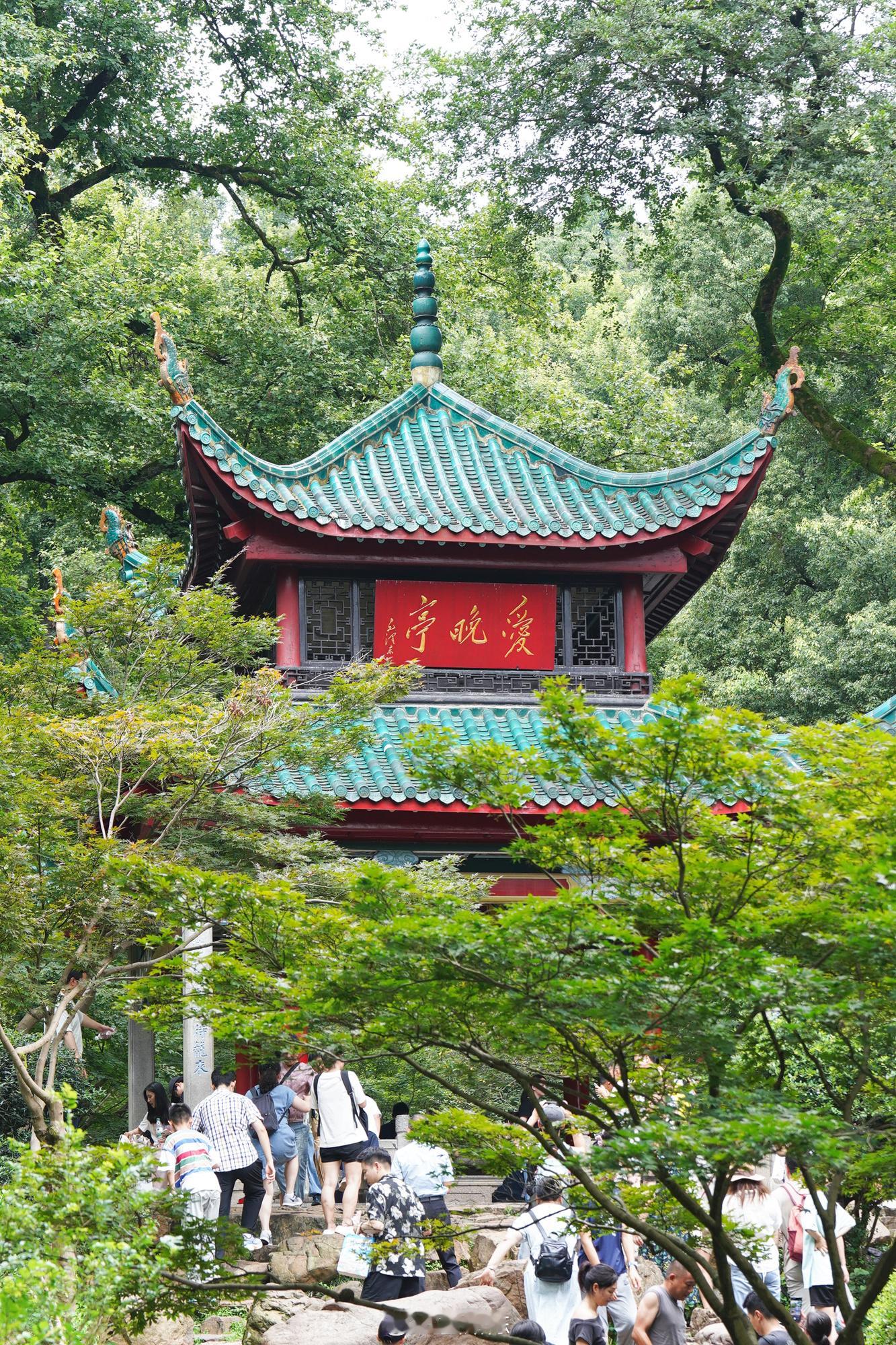 今年暑假完全没什么出门游玩的想法，刚考试完实在没什么事带娃玩了三四天，前两天还行