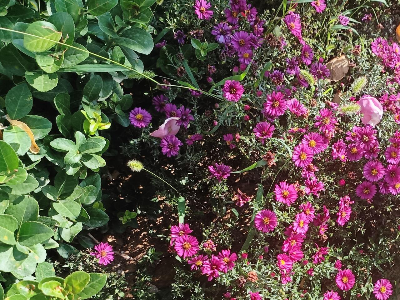 秋天来了，花在收拢芬芳。
努力的意义，就是不虚此行。