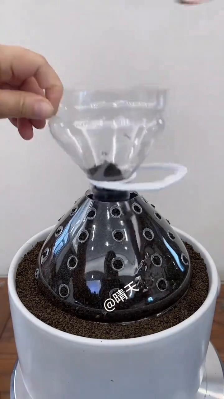 晴天。