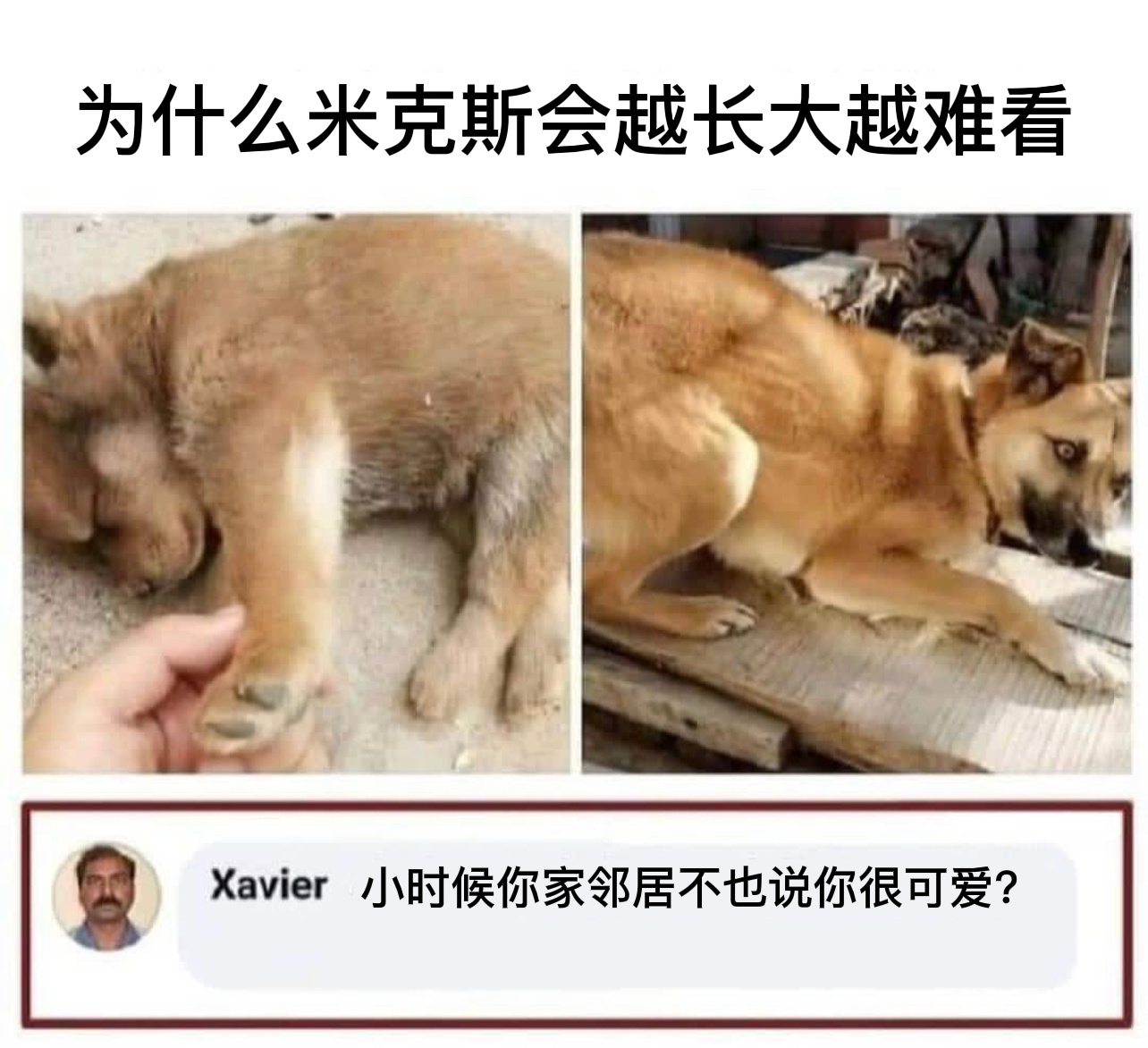明白了#今日memes# //#我的幽默搭子# //#定格# ​​​