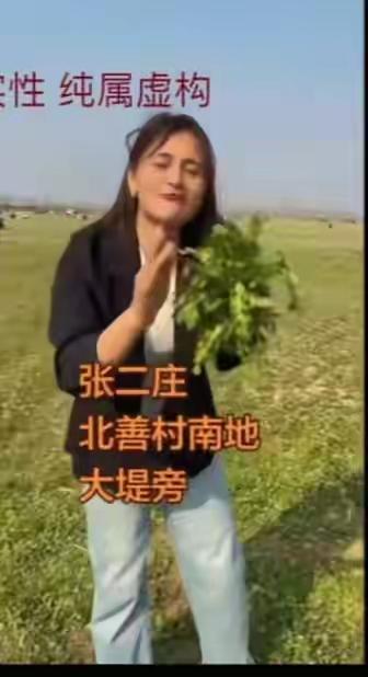 真坏啊！严惩！造谣者找到了！河北邯郸200亩荠菜被抢挖事件后续！
近日在河北邯郸