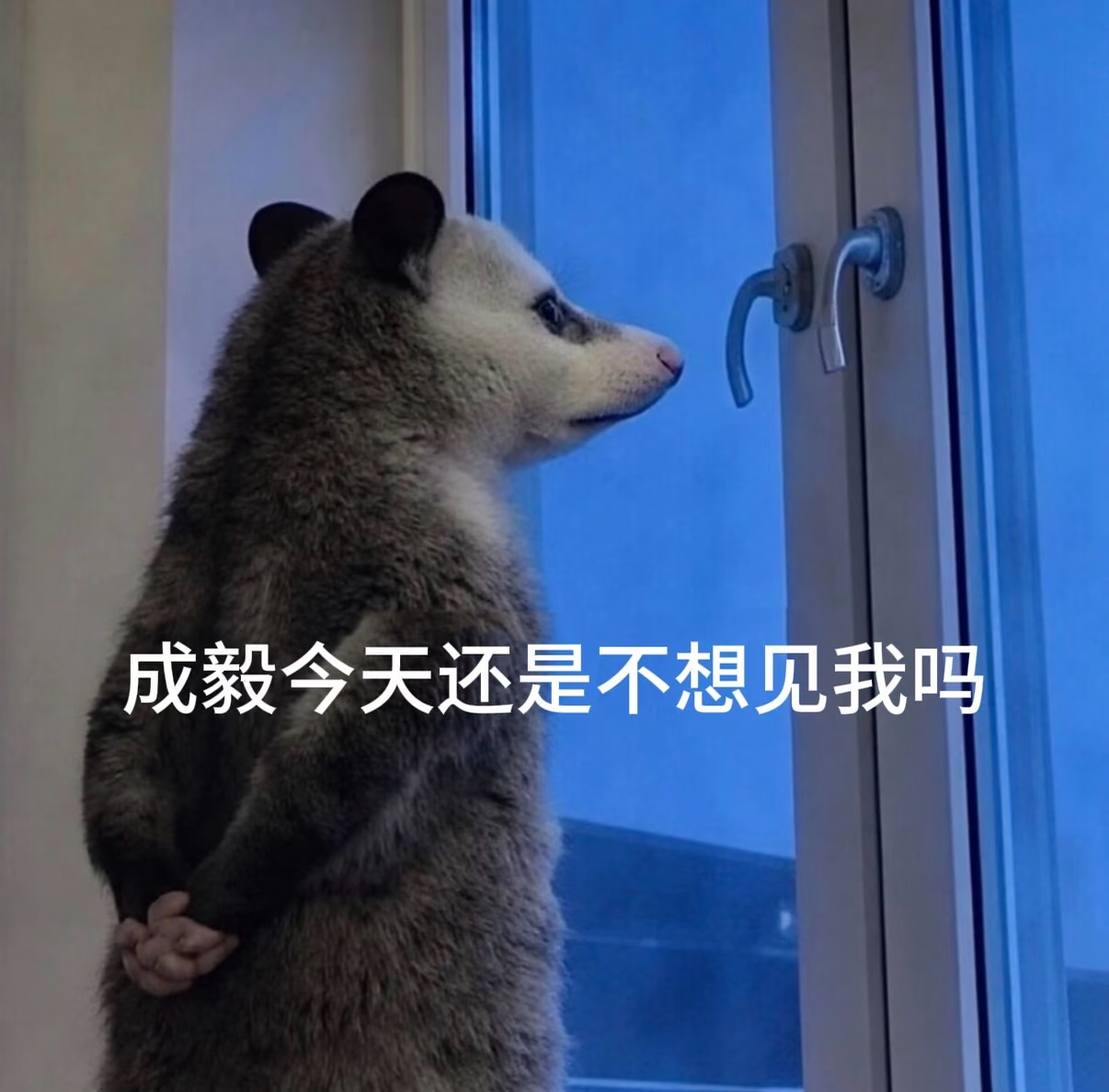 我e到底何时才会出现，想我e了，得了毅欲症！ 