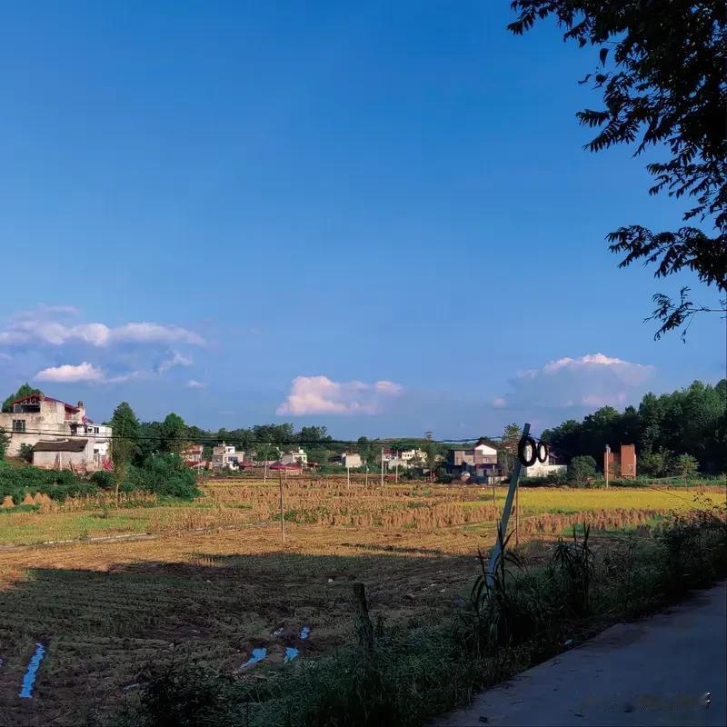 来自大自然的美丽农村风景
 
远离城市喧嚣，乡村藏着最治愈的自然画卷。
 
- 