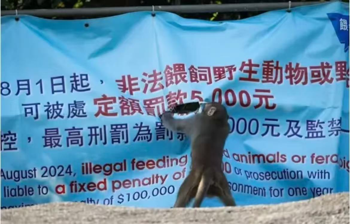 别多管闲事 ​​​