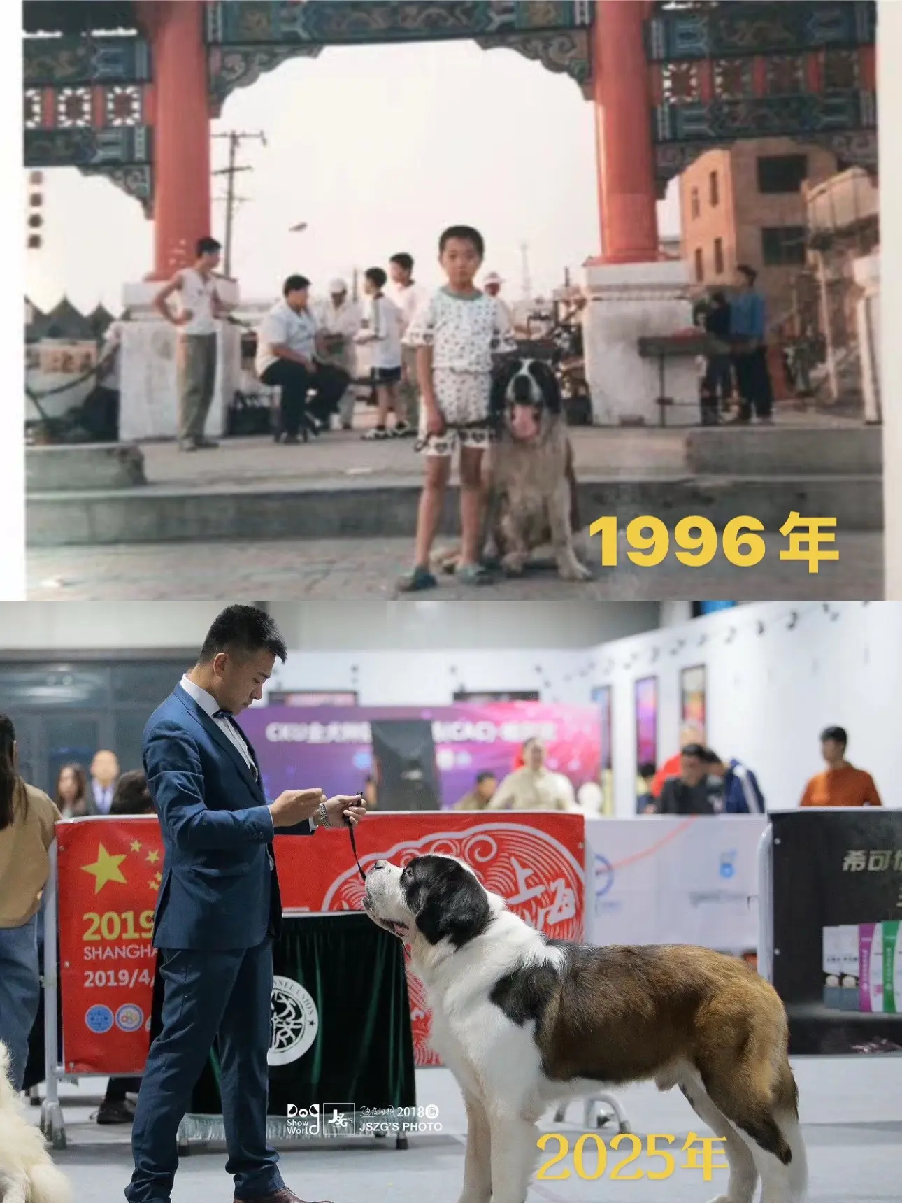 我的青春年华虽已逝去，但我的青春并没有失去