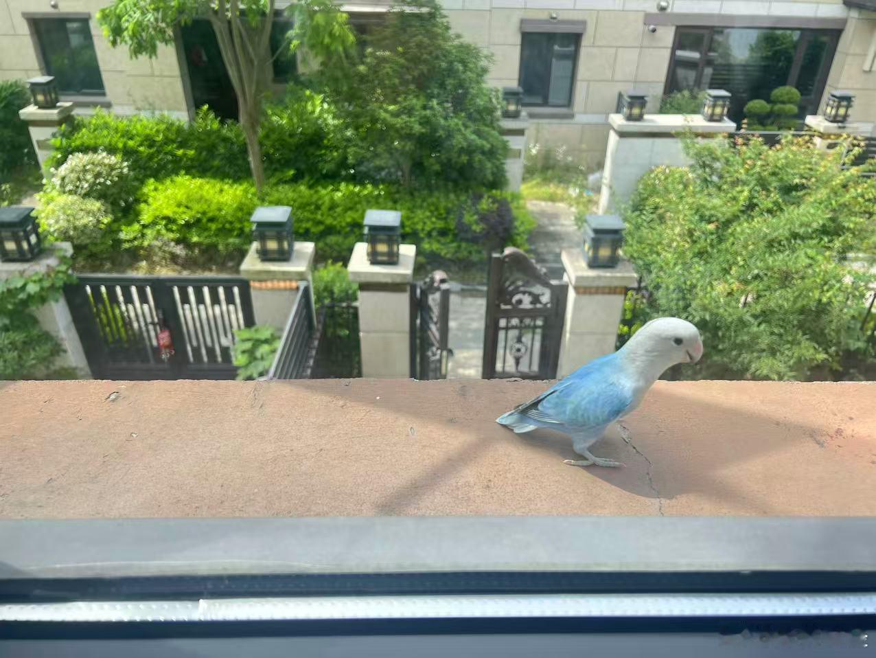 飞进来一个🐦 ​​​