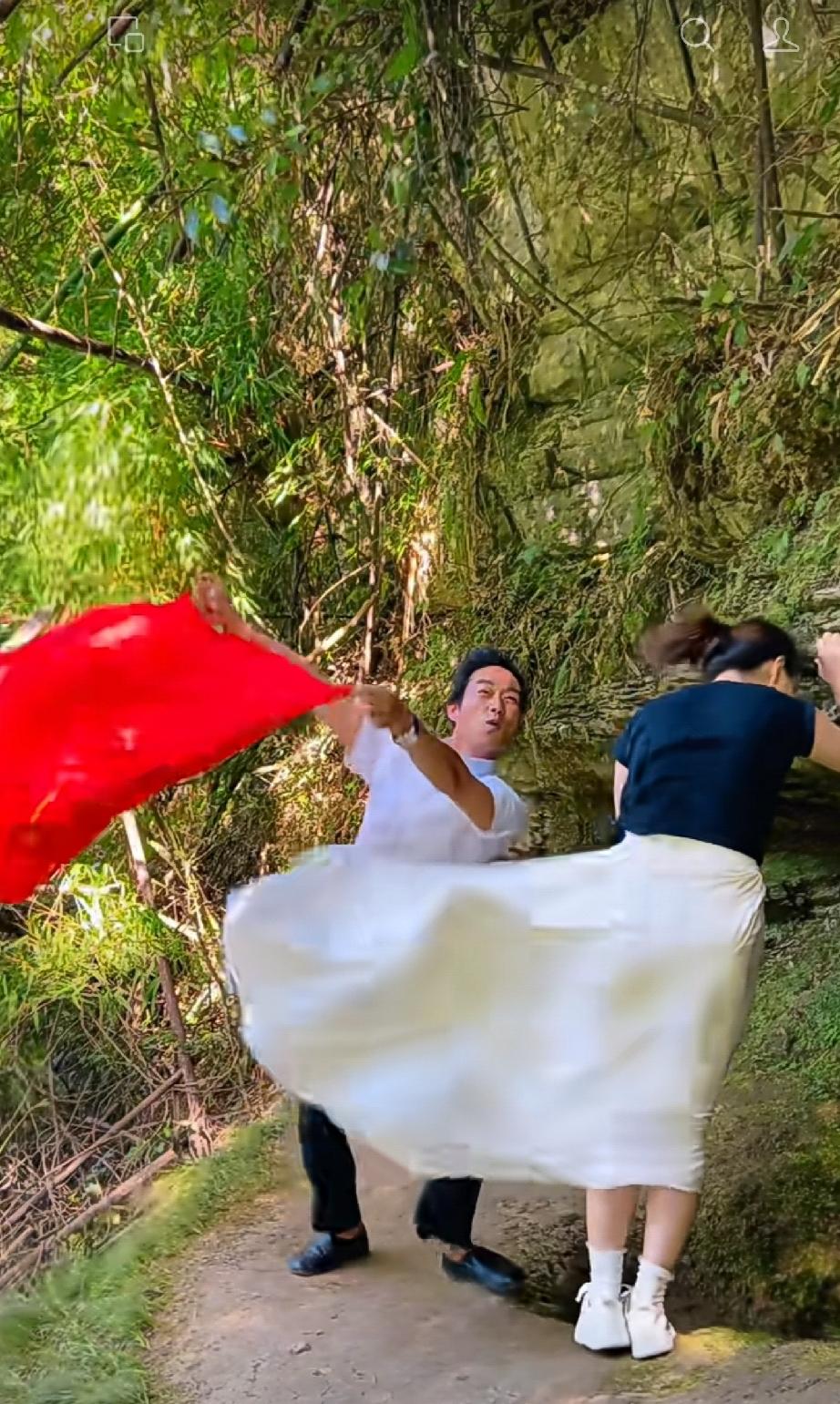 这是哪的风景，风这么大吗？为什么树叶一动也不动