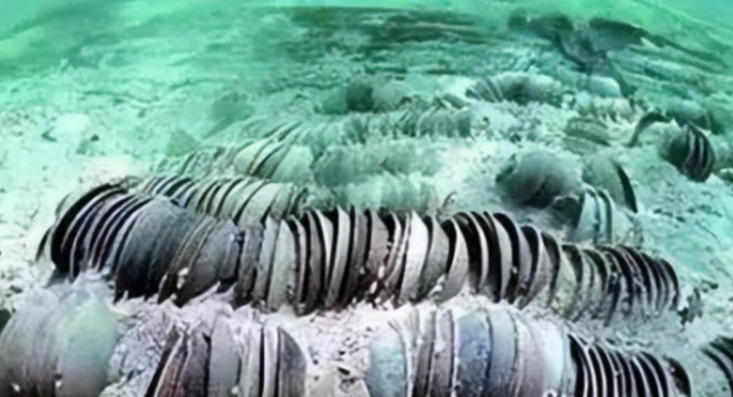 1998年，德国拿出7万件中国文物，强势开出3个亿的天价。正在中国犹豫时，德国却