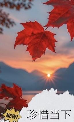 生活如同一场细水长流的旅程，真正的幸福不在于轰轰烈烈的瞬间，而在于平凡日子里的点