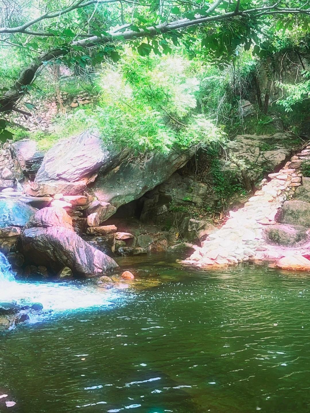 梦想是永不熄灭的火焰，它照亮我们前行的道路，让我们在追逐梦想的路上不会迷失方向。