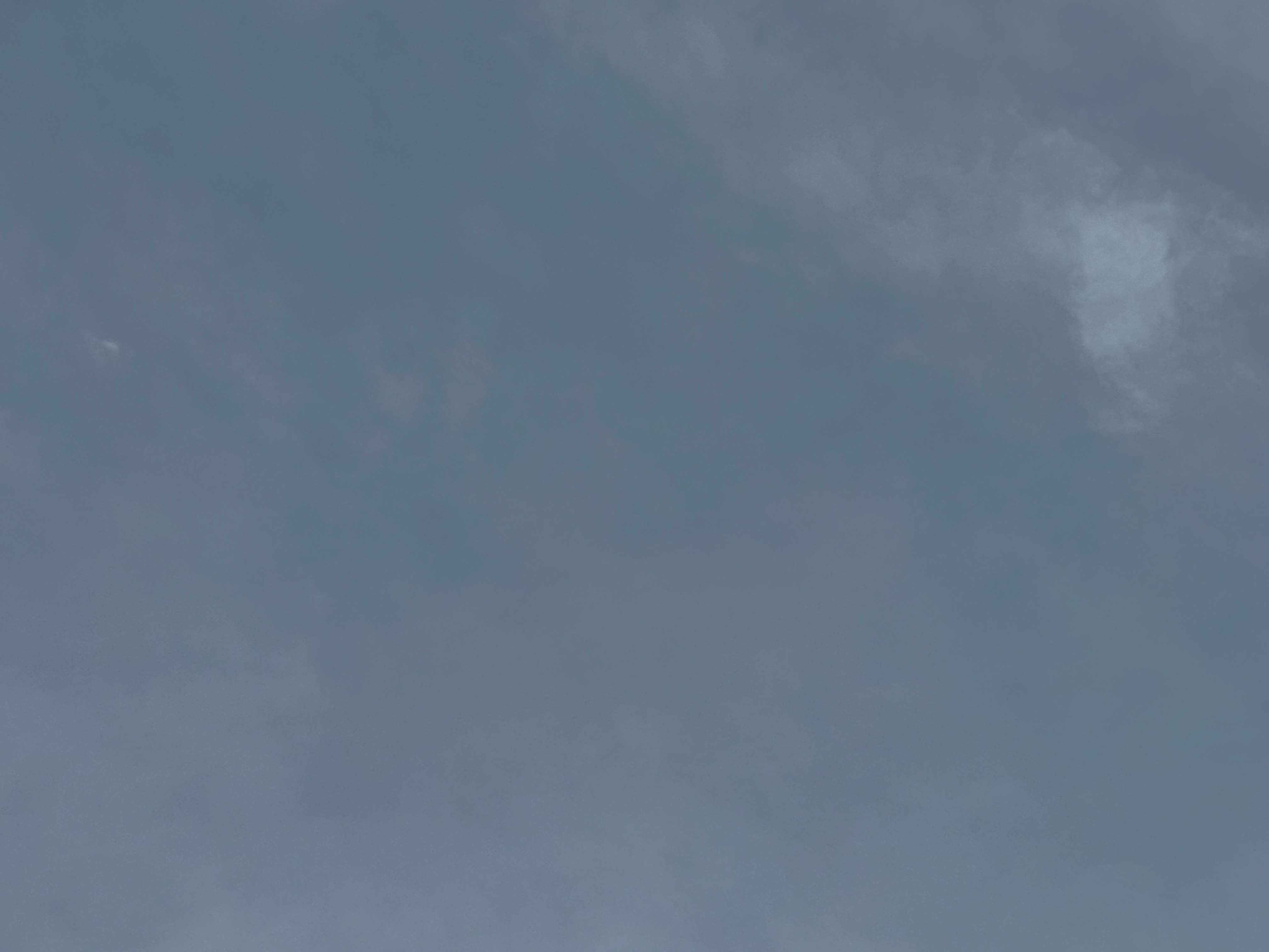 树我总疑心，树是大地写给天空的诗，以年轮为韵脚，以枝叶为平仄，在风里雨里，吟了千