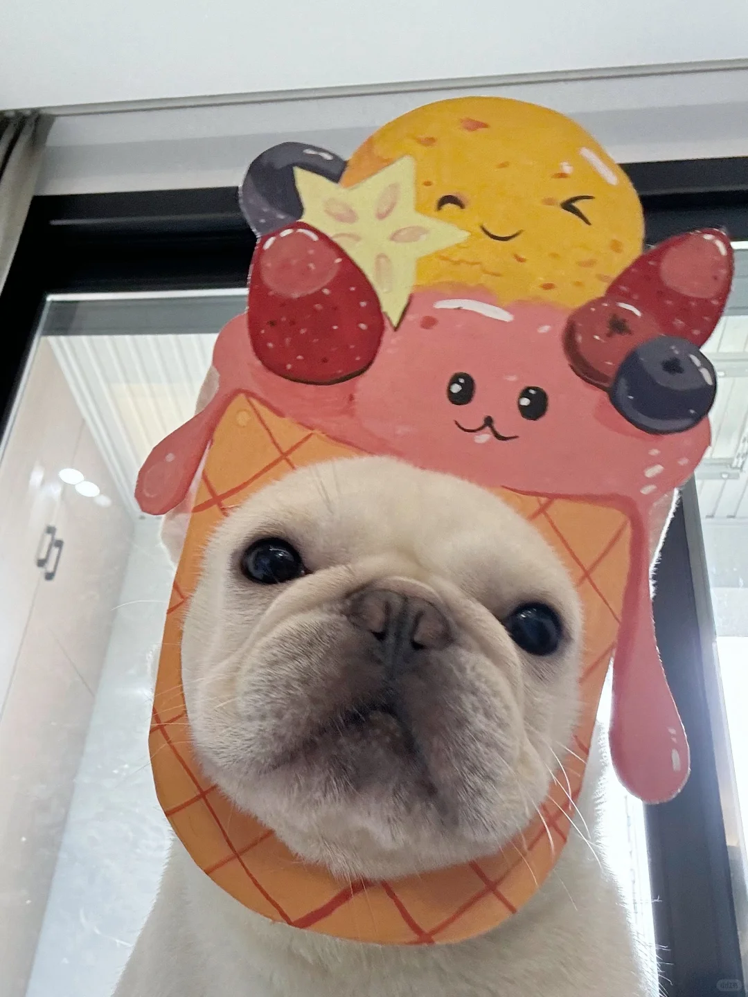 夏天我的最后一次自拍