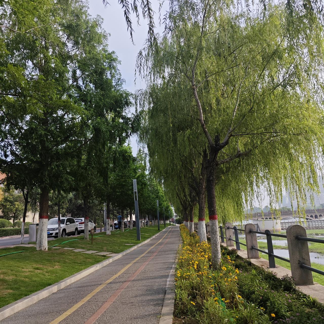一早5点半出门，沿着墨河岸边一路向东。
昨天的天气挺闷挺热，昨晚一夜的大风，吹得