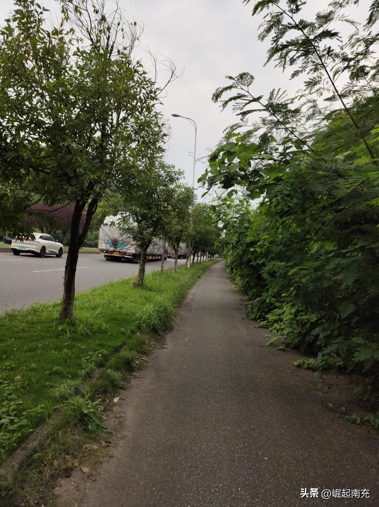 高坪林海路草长进非机动车道了无人管？
近日，有网友在社交平台发出并称：途径高坪区