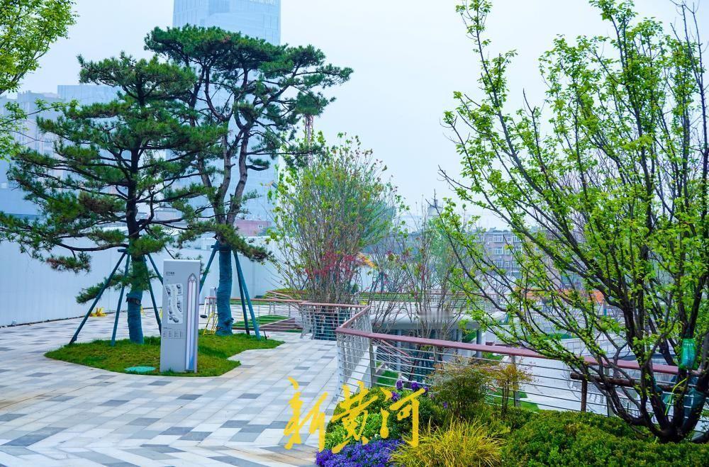 济南全福河“滨水公园”初露真容 洪楼城市更新项目揭开景观面纱！4月9日，记者在济