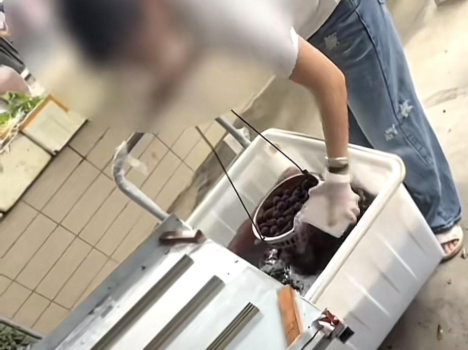 如果不是记者暗访大揭秘，我还真不知道一些，售卖杨梅商户的丧心病狂！
一切始于5月