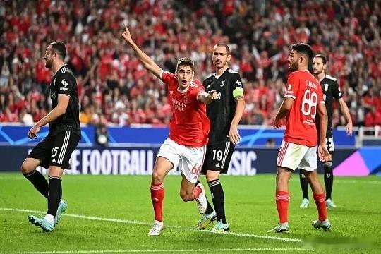 005   欧冠杯   阿贾克斯vs本菲卡     方向：平/让胜  比分2-2