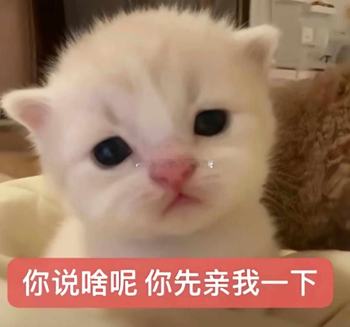 我觉得我俩的小生活有时候还挺搞笑的哈哈哈昨晚吃巧克力棒吃剩几根吃不下啦 就打算给