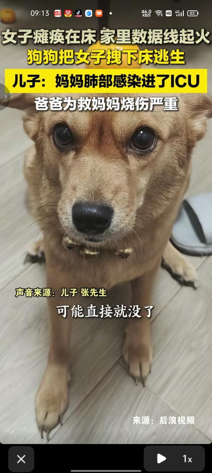 5月29日，湖南株洲。网友发视频称，母亲瘫痪在床，父亲则出去买东西，家里数据线起